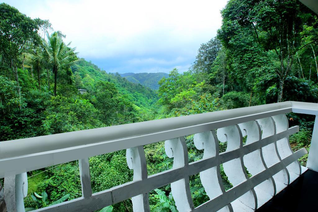 Spring And Valley View Thekkady Chambre photo