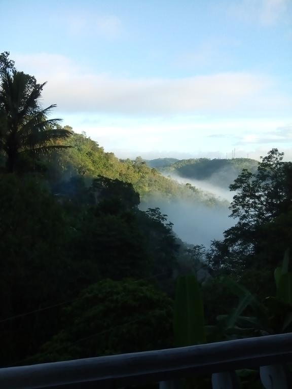 Spring And Valley View Thekkady Extérieur photo